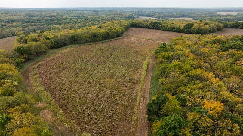 Brad Hand Osage 91--04