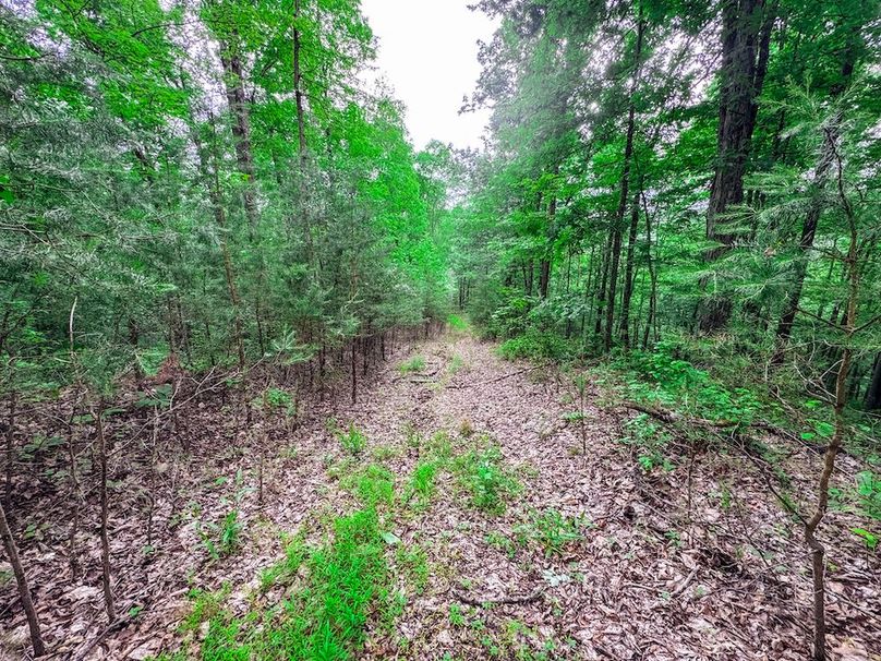 Tyler, WV 313.87 AC -30