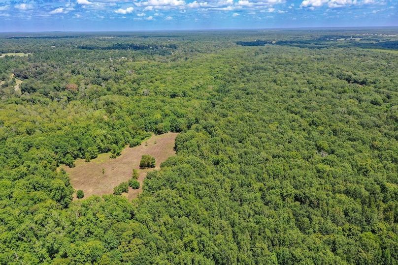 14 Leon Co. 117ac-23