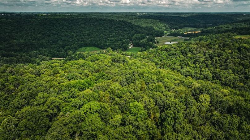 dji_fly_20250708_111408_0441_1751988016799_photo