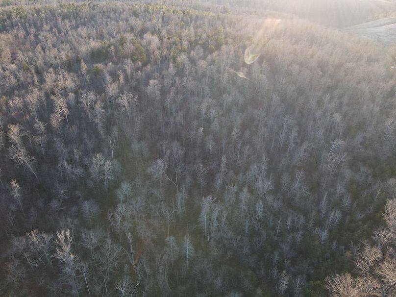 DJI_0312