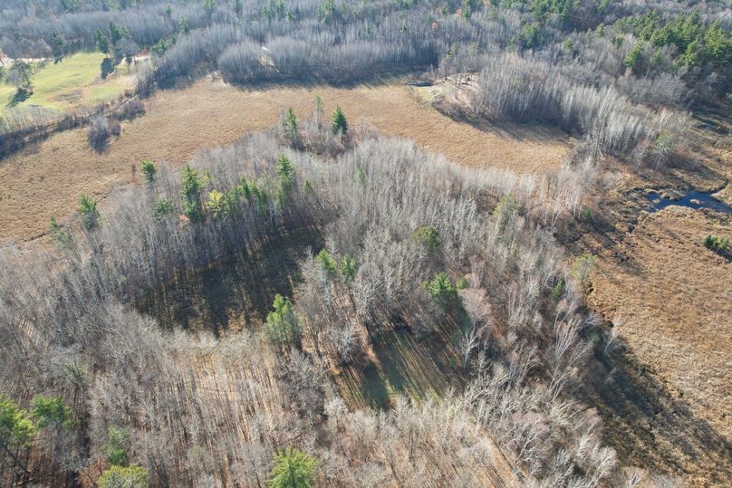 dji_fly_20231113_100604_282_1699892009573_photo