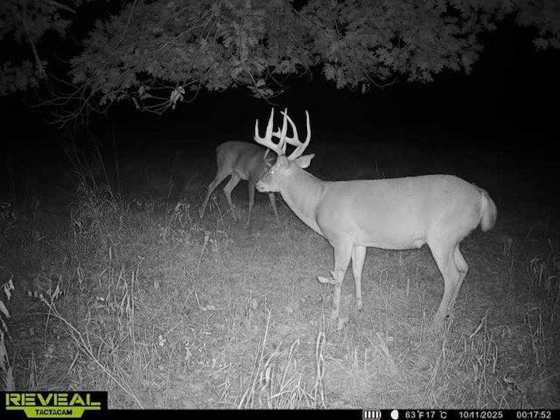 Trail Cam 3
