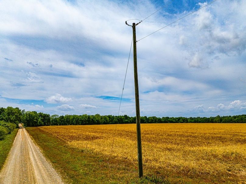 Copy of Noxubee 40 Tract 2-15