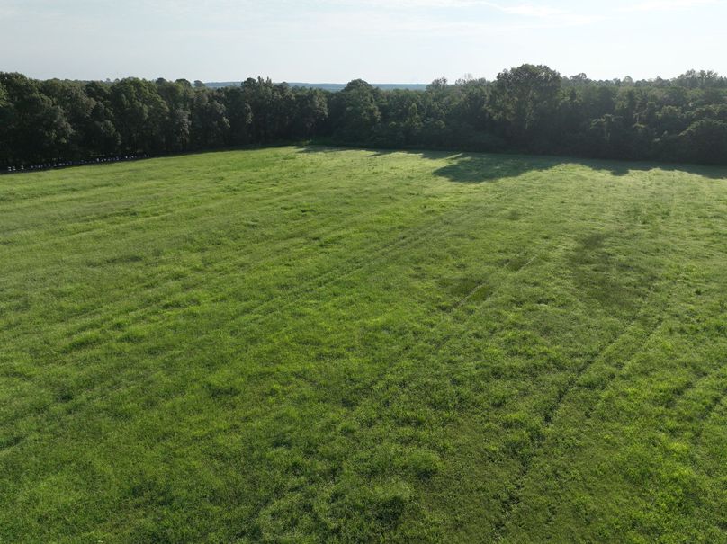 dji_fly_20230813_083636_526_1691930596526_photo