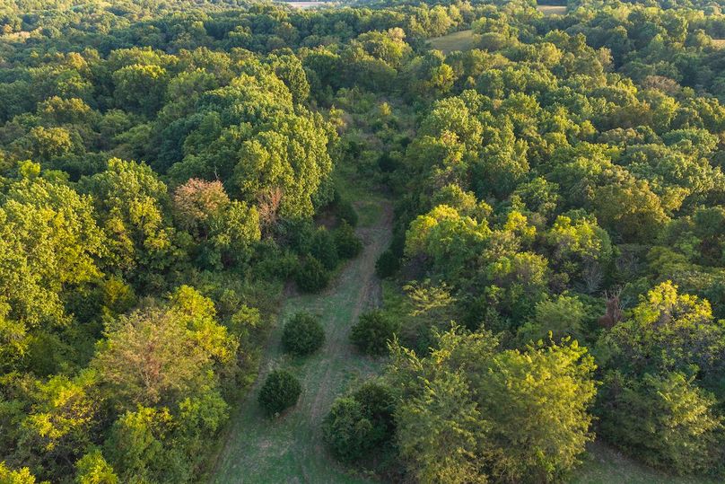 DJI_20251011175246_0418_D-HDR