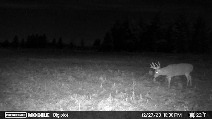 Temp_731813-20231228043042-20231227223003_005001