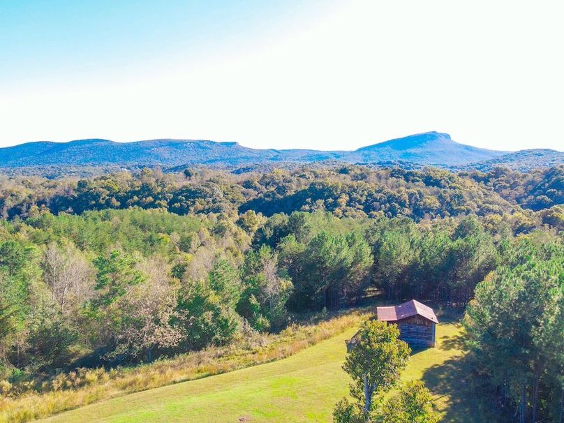 dji_fly_20241010_163858_893_1728592760533_photo