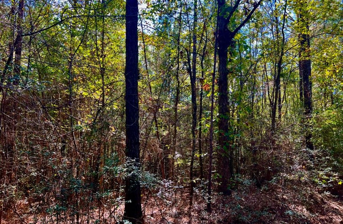 0F345BF3-49AD-4140-B6A0-0BD042B27F71_1_201_a