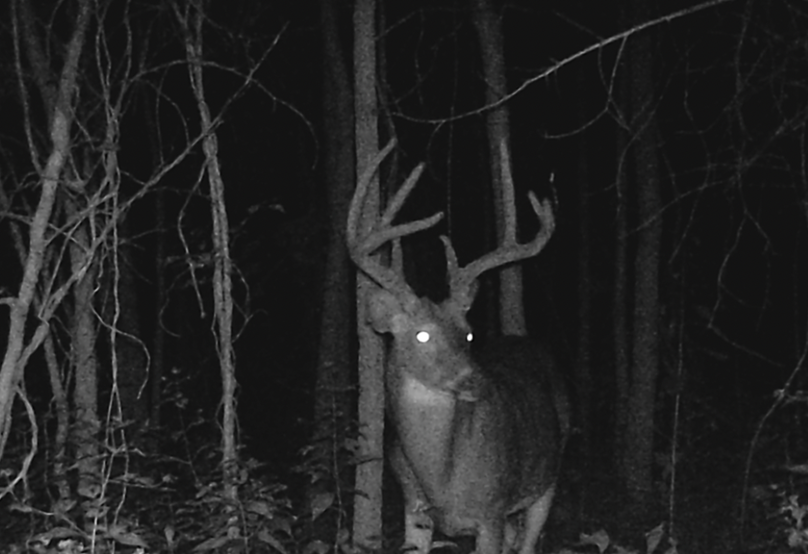 Screen Shot 2024-01-22 at 6.36.51 AM