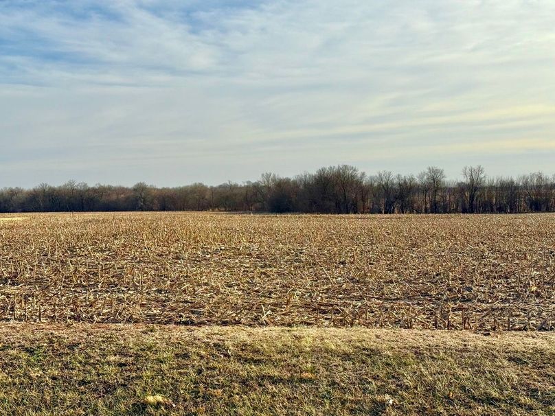 Copy of IMG_7192 Large