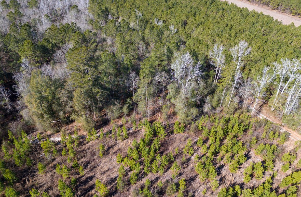 Pender NC 382 - Edits-3