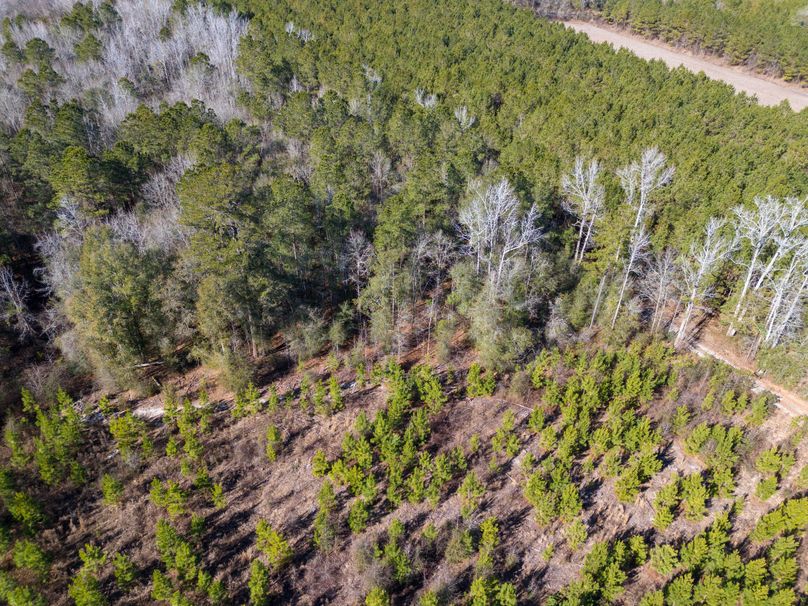 Pender NC 382 - Edits-3