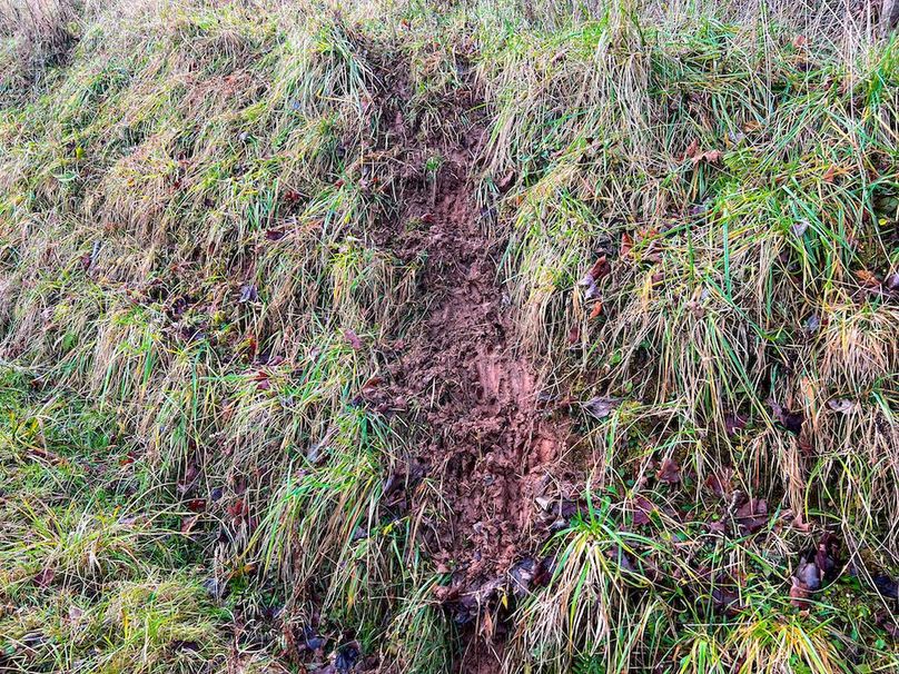 Calhoun, WV 225.69 AC Duffield-83