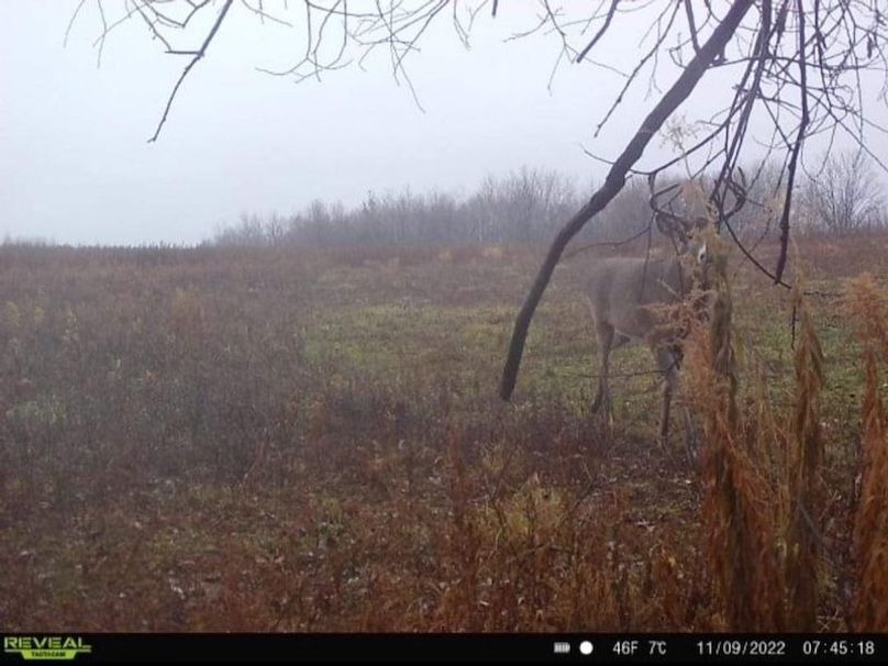 FB_IMG_1718028836579