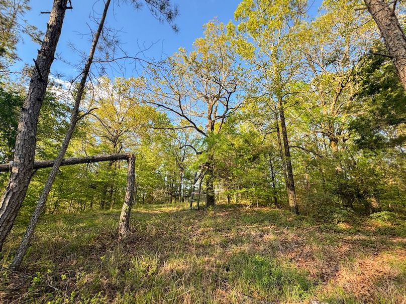 Tallahatchie 44 Newman (Crowden) Wide-37