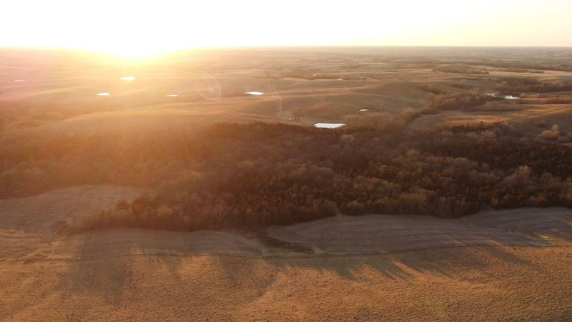 WORTH CO MO 537.44_104