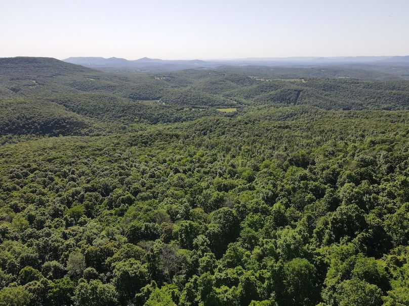 DJI_0413