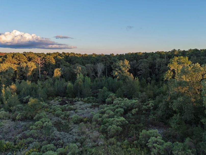 40 Edited Harison co. 206 - Ed Robb-028