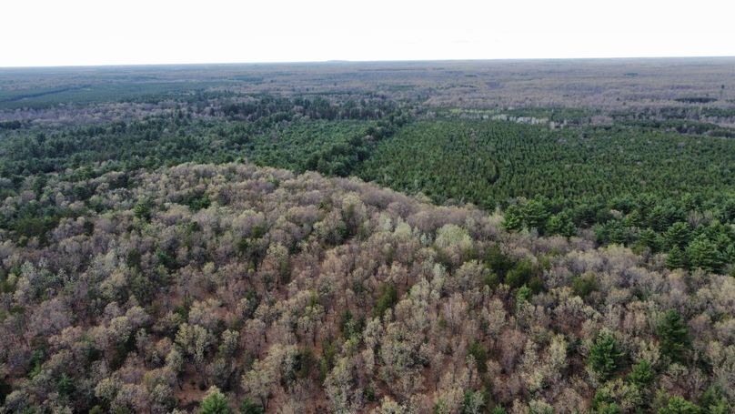 dji_fly_20230509_171834_411_1683724281489_photo_optimized