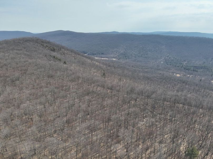 DJI_20250304114542_0006_V