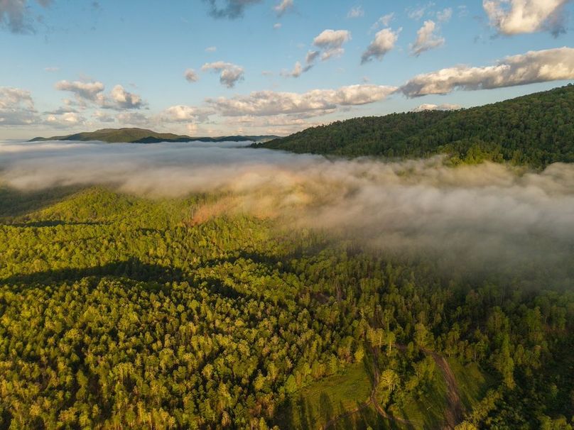 DJI_20250505071624_0012_D