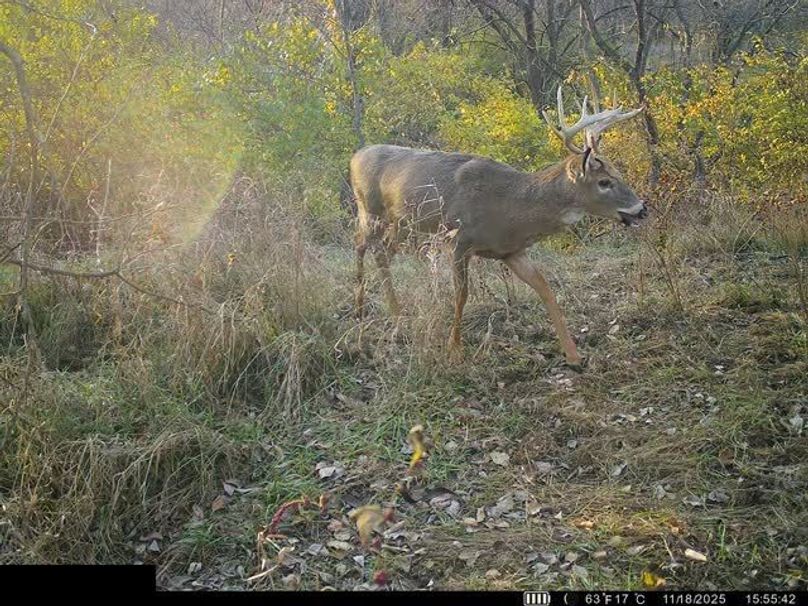 864049054588258-100-4-11182025155559-W1003482