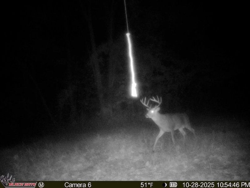 00354BFC-9B0C-4FE2-A65E-94EEBC993712