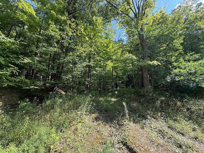 Ontario_2.7_Proseus Photo 25