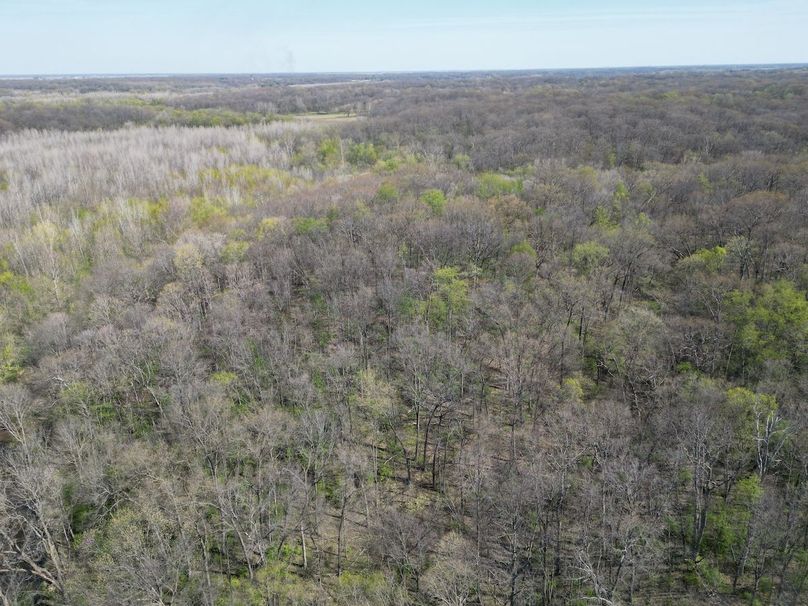 DJI_0212