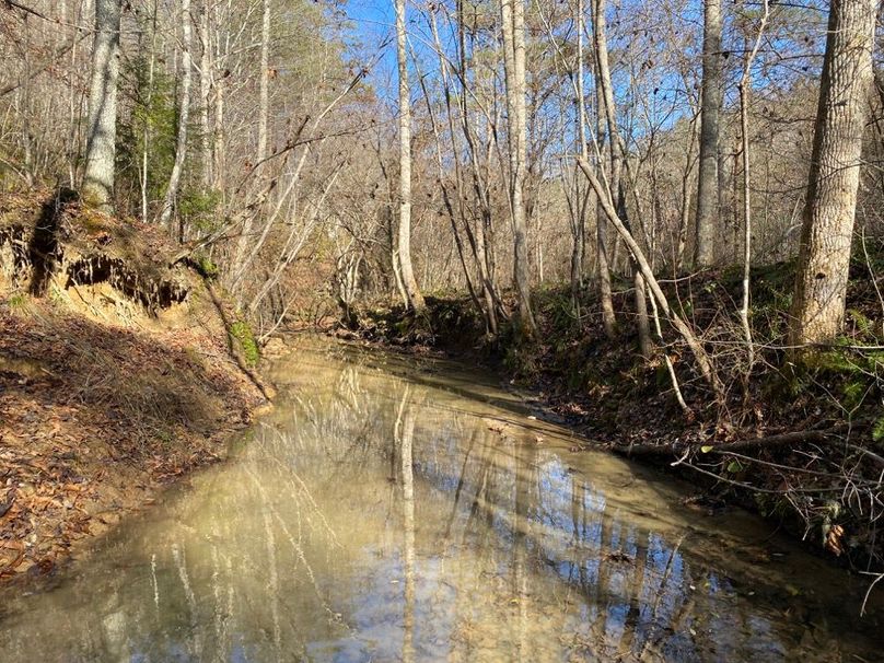 009 the access road leading up the valley running in the creek