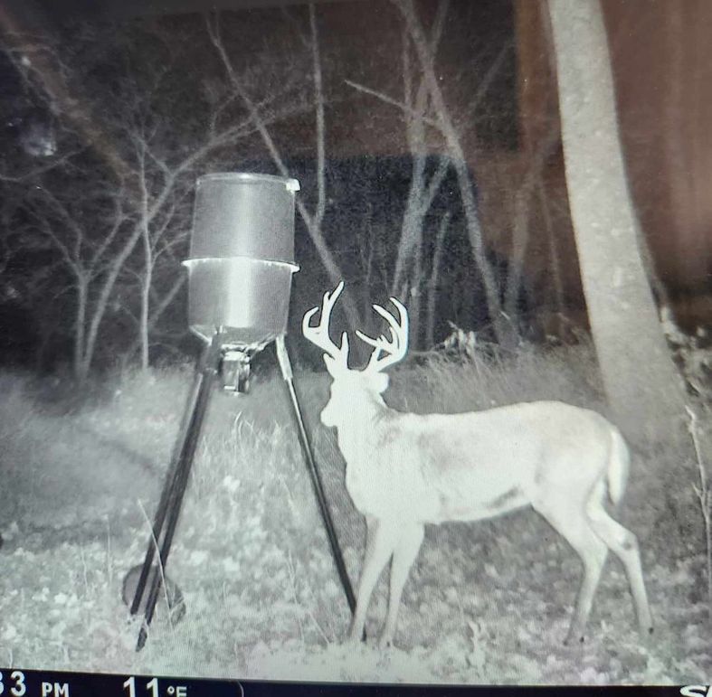 received_988926295986828