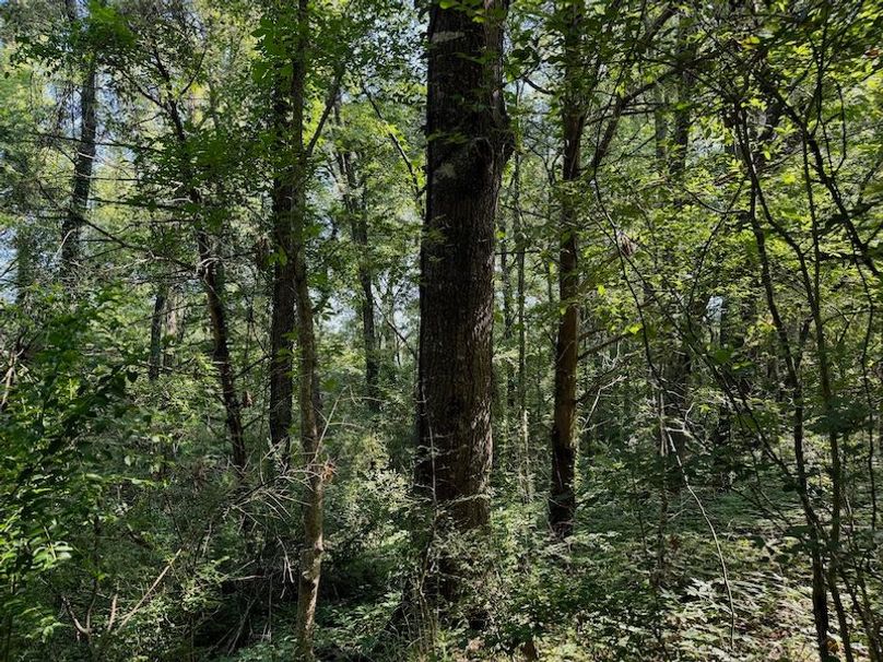 5BADF69D-A78F-4120-983A-6101B00965BC