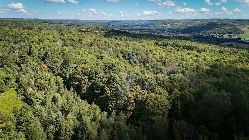 Tioga NY 232.62 Shores Photos 16