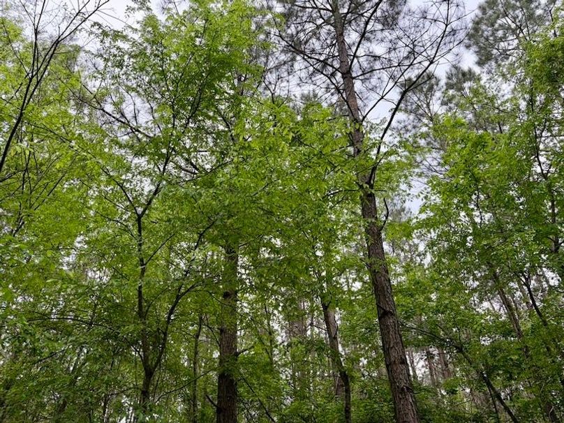 87F09AE6-8B68-4618-9B5C-C305855EC74C_1_105_c