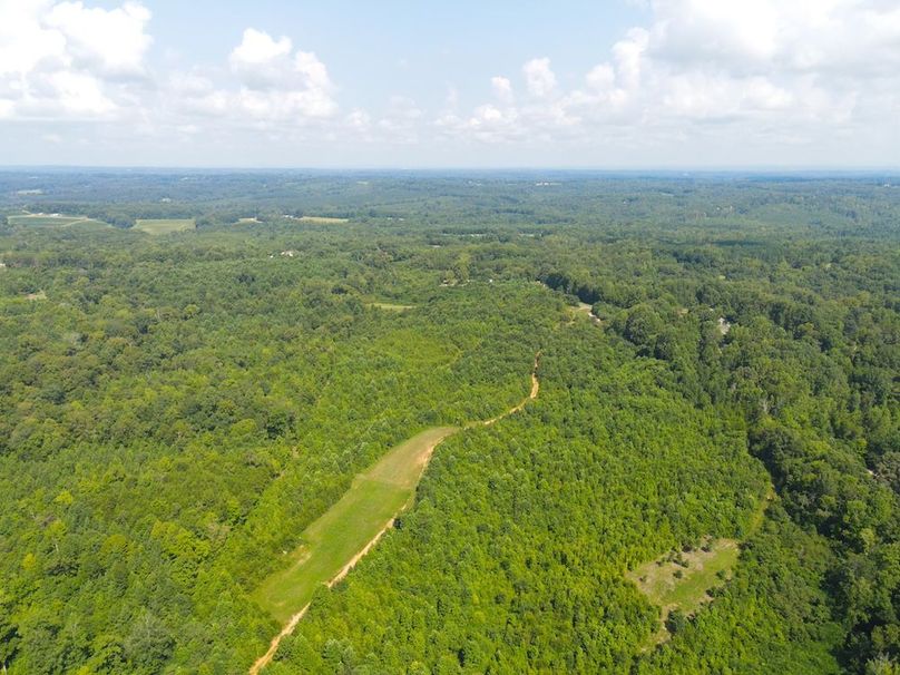 dji_fly_20250729_105116_799_1753800811526_photo