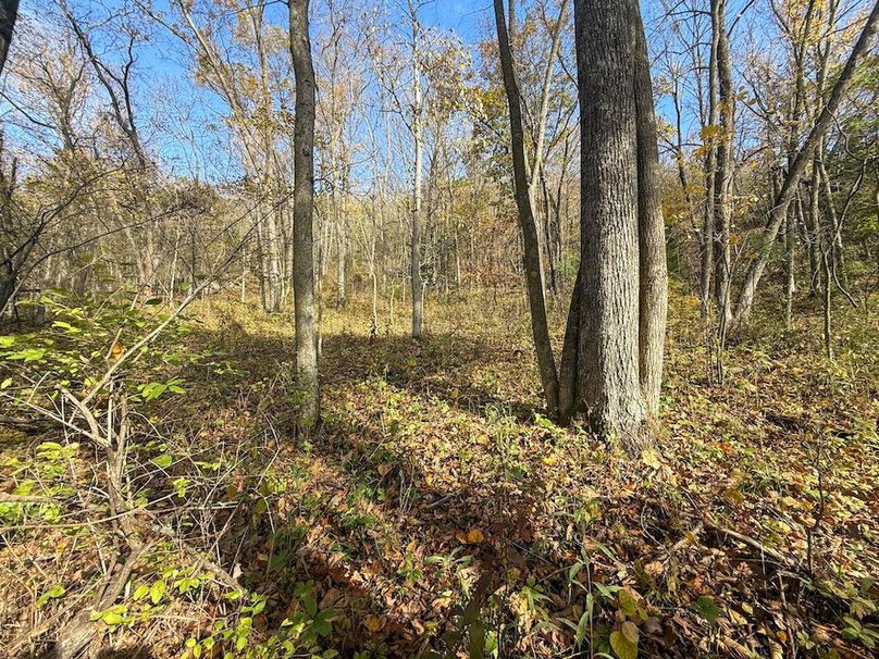 Houston 24.97 Updated-39