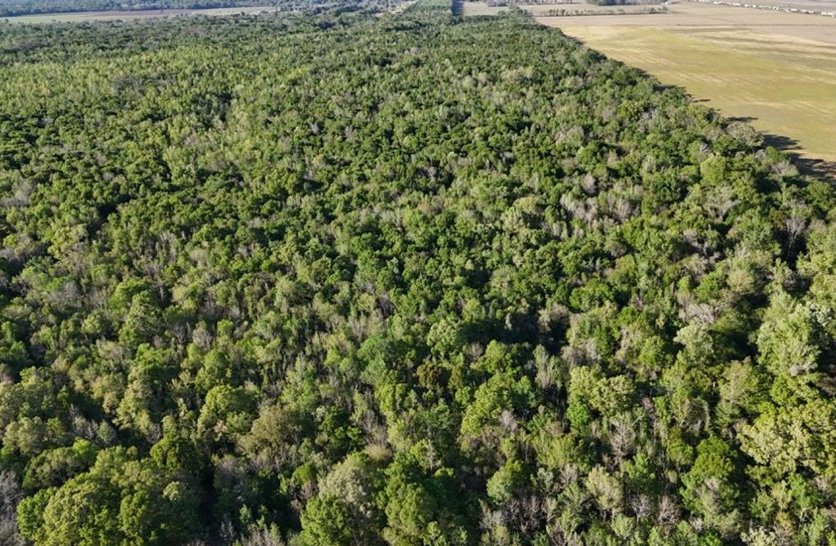 dji_fly_20260326_174238_0124_1774621495466_photo