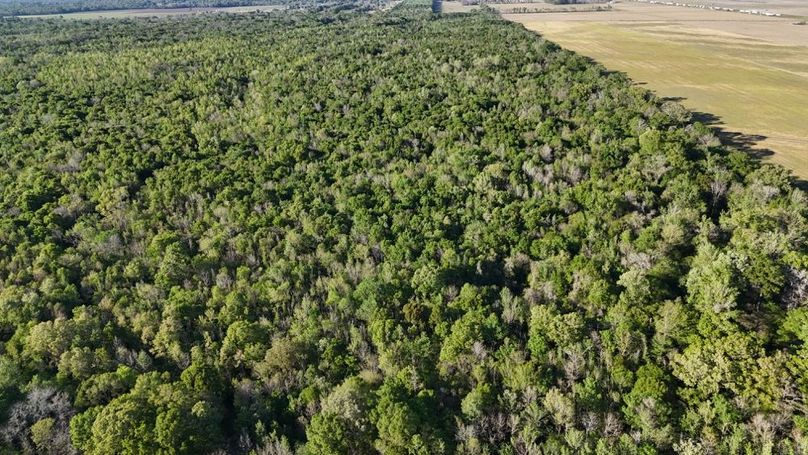 dji_fly_20260326_174238_0124_1774621495466_photo