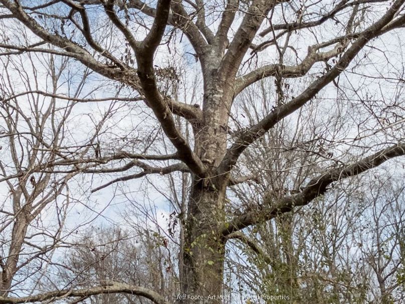 Holmes County - 108 - Rodriguez-77