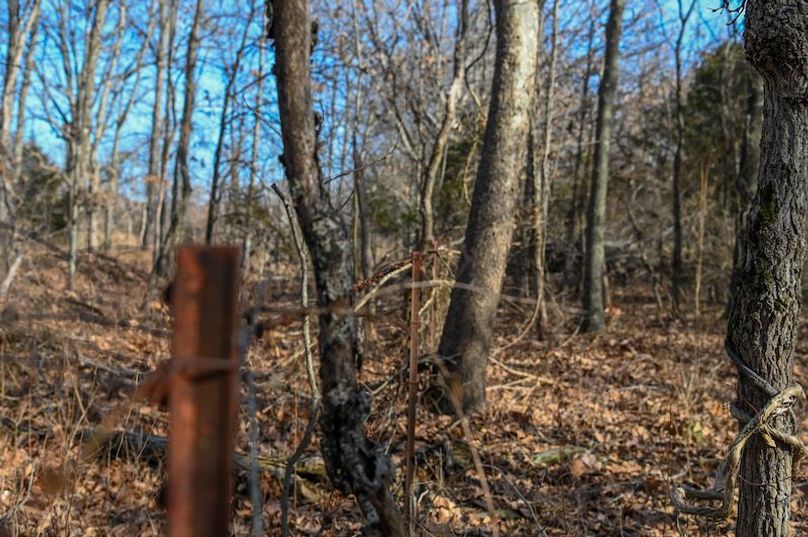 vandalia 450 (2)-1701