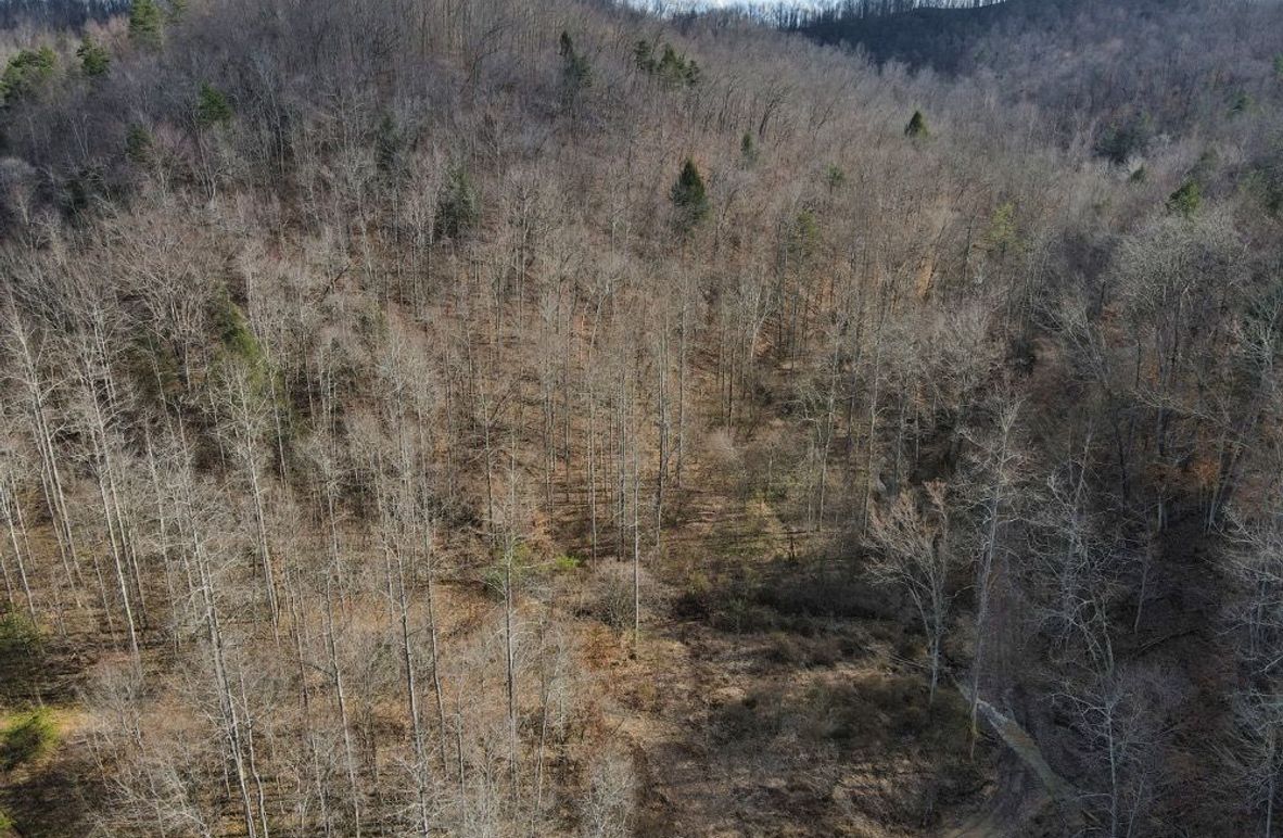 005 elevated view looking towards the southern point-2