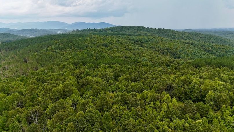 DJI_20250820162553_0047_D