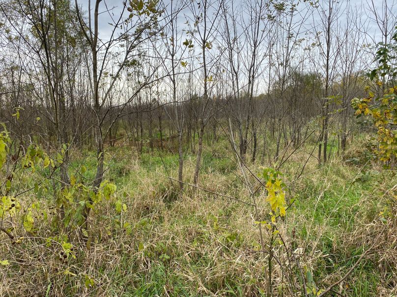 pics from late 2021 and early 2022. New plots being planted in Aug 2023 for new pics (16)