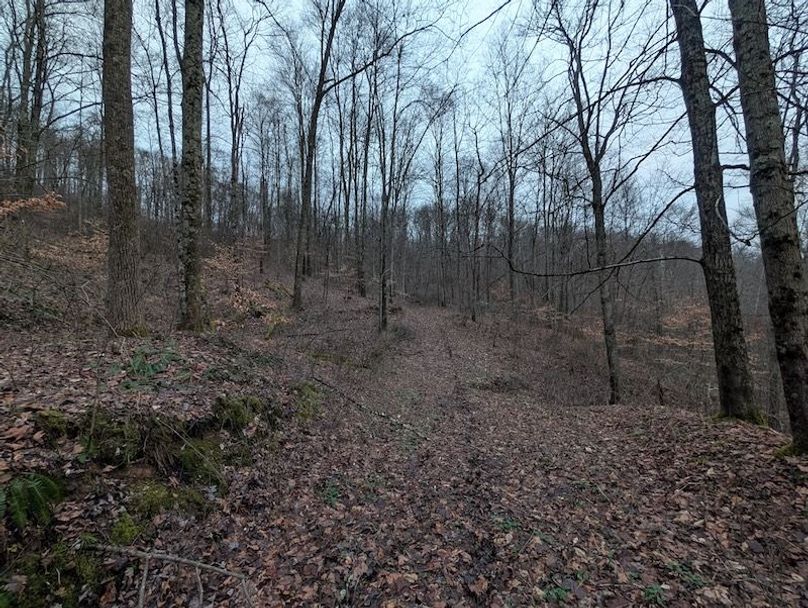 PXL_20260107_220455565.MP