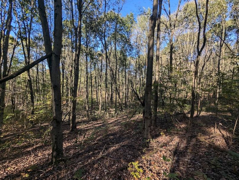 PXL_20251001_205635816