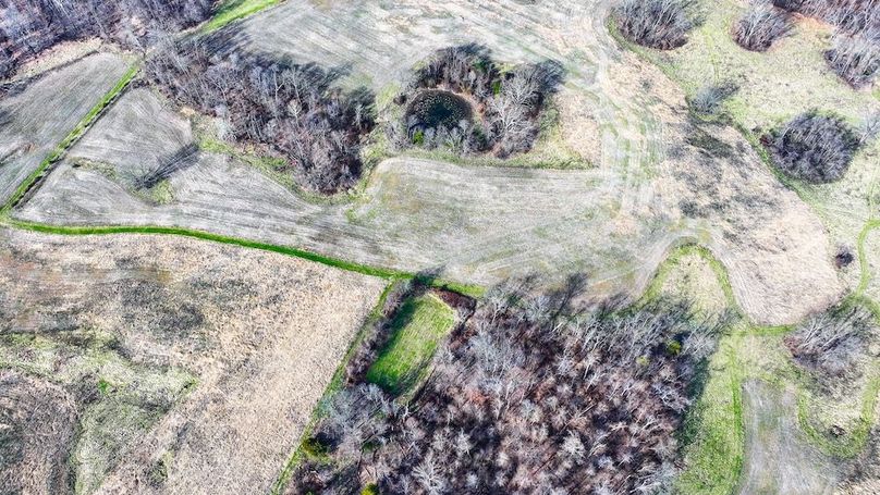 dji_fly_20260321_102548_0107_1774103508222_photo