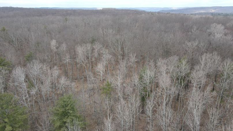 20 dji_fly_20250325_113034_948_1742916670530_photo