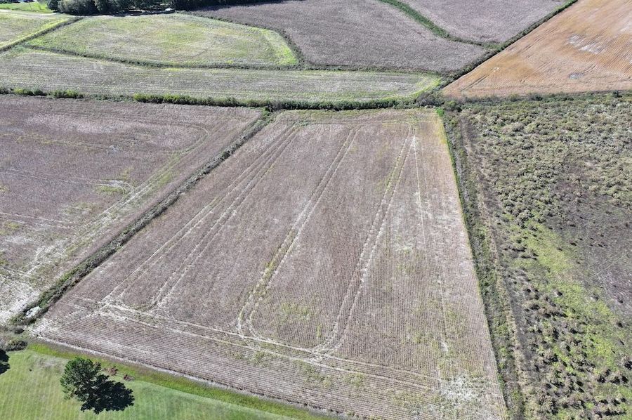 DJI_20241018143433_0050_D