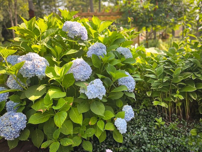 Oswego_47.53_Jarvis_Photos_37